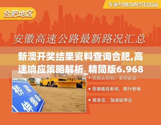 新澳开奖结果资料查询合肥,高速响应策略解析_精简版6.968