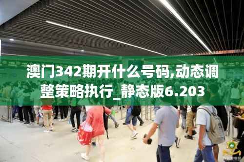 澳门342期开什么号码,动态调整策略执行_静态版6.203