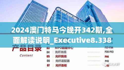 2024澳门特马今晚开342期,全面解读说明_Executive8.338
