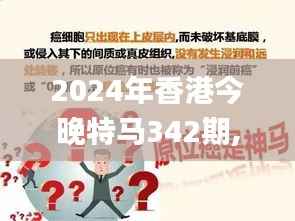 2024年香港今晚特马342期,绝对经典解释落实_免费版110.711