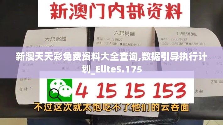 新澳天天彩免费资料大全查询,数据引导执行计划_Elite5.175