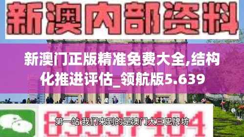 新澳门正版精准免费大全,结构化推进评估_领航版5.639