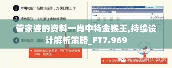 管家婆的资料一肖中特金猴王,持续设计解析策略_FT7.969