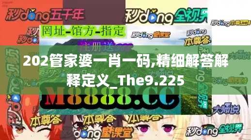 202管家婆一肖一码,精细解答解释定义_The9.225