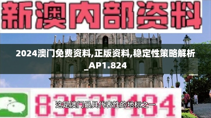 2024澳门免费资料,正版资料,稳定性策略解析_AP1.824