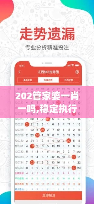 202管家婆一肖一吗,稳定执行计划_HD5.937
