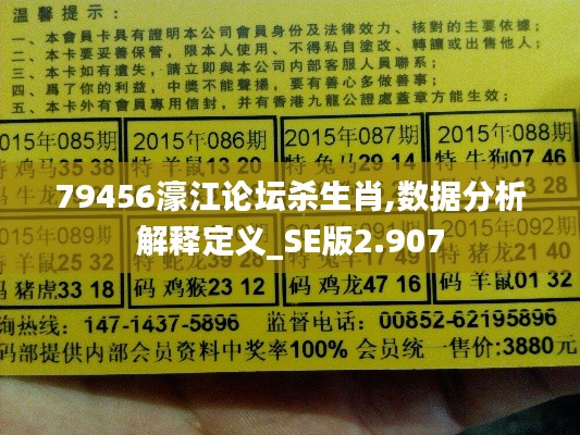 79456濠江论坛杀生肖,数据分析解释定义_SE版2.907