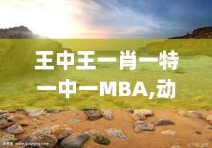 王中王一肖一特一中一MBA,动态词语解释定义_SP5.248