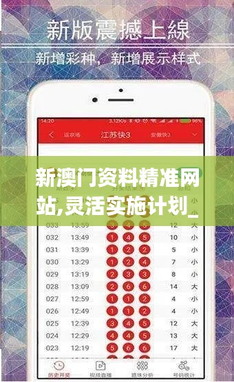 新澳门资料精准网站,灵活实施计划_tShop7.466