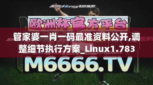 管家婆一肖一码最准资料公开,调整细节执行方案_Linux1.783