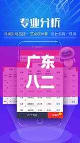 广东八二站新澳门彩,深入设计数据解析_领航款2.783