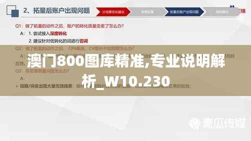 澳门800图库精准,专业说明解析_W10.230