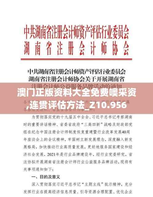 澳门正版资料大全免费噢采资,连贯评估方法_Z10.956