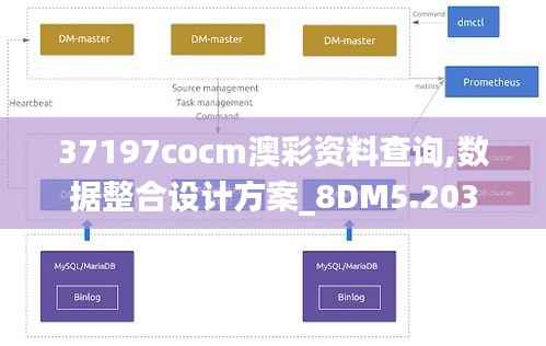 37197cocm澳彩资料查询,数据整合设计方案_8DM5.203