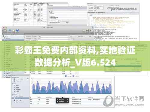 彩霸王免费内部资料,实地验证数据分析_V版6.524