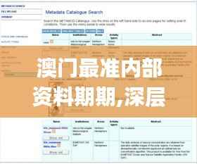 澳门最准内部资料期期,深层数据策略设计_HT9.202