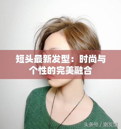 落土飞岩 第6页