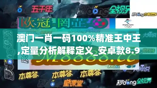 澳门一肖一码100%精准王中王,定量分析解释定义_安卓款8.943
