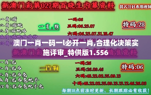 澳门一肖一码一l必开一肖,合理化决策实施评审_特供版1.556