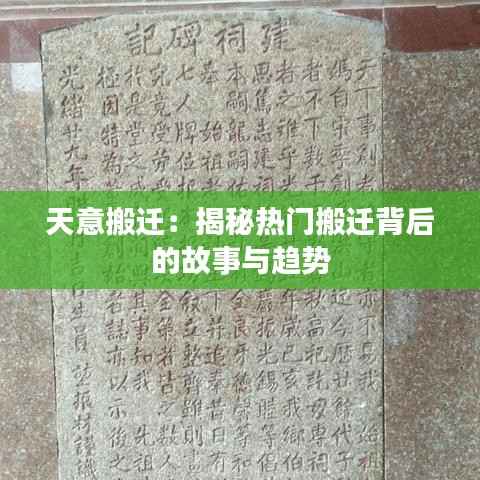 天意搬迁：揭秘热门搬迁背后的故事与趋势