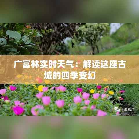 广富林实时天气：解读这座古城的四季变幻