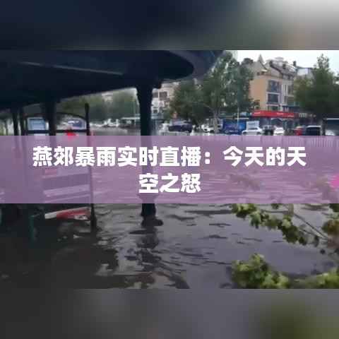 克勤克俭 第6页