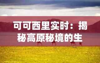 可可西里实时：揭秘高原秘境的生态变迁