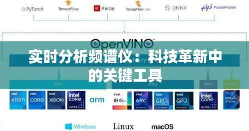 实时分析频谱仪：科技革新中的关键工具