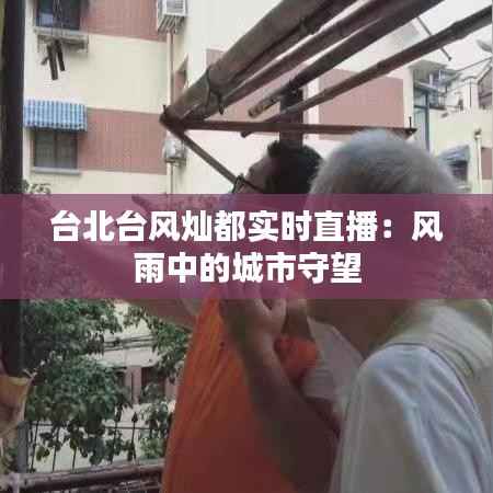 台北台风灿都实时直播：风雨中的城市守望