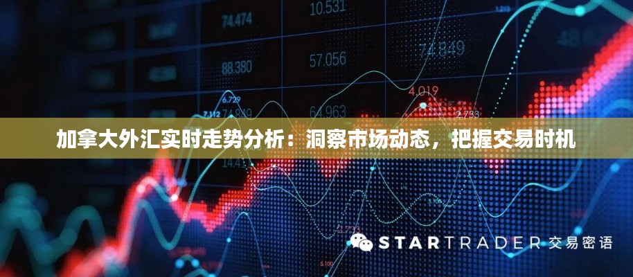 加拿大外汇实时走势分析：洞察市场动态，把握交易时机