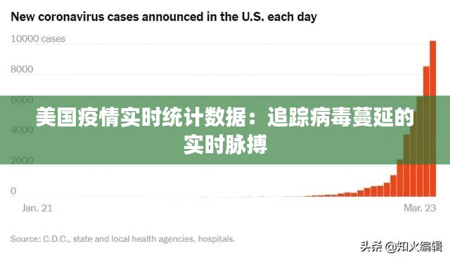 美国疫情实时统计数据：追踪病毒蔓延的实时脉搏