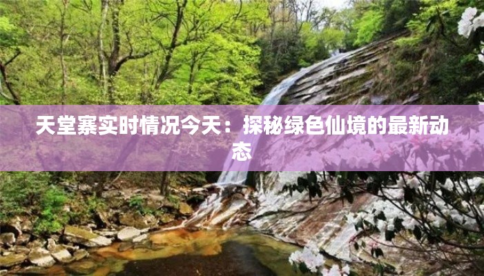 天堂寨实时情况今天：探秘绿色仙境的最新动态