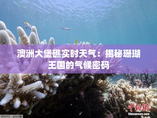 澳洲大堡礁实时天气：揭秘珊瑚王国的气候密码