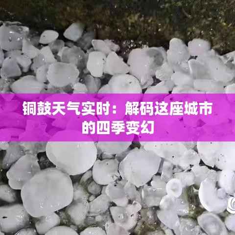 铜鼓天气实时：解码这座城市的四季变幻