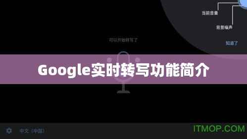 Google实时转写功能简介