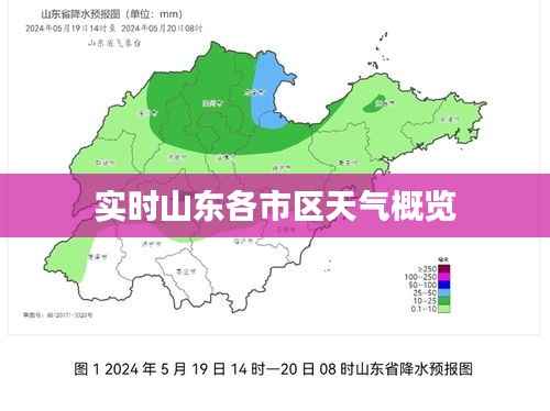 实时山东各市区天气概览