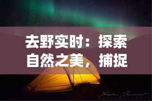 去野实时：探索自然之美，捕捉瞬间奇遇