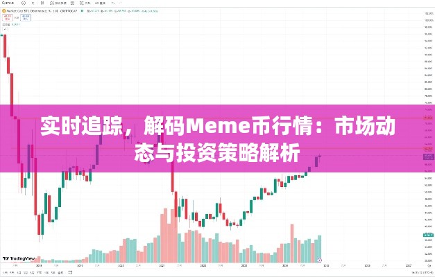 实时追踪，解码Meme币行情：市场动态与投资策略解析