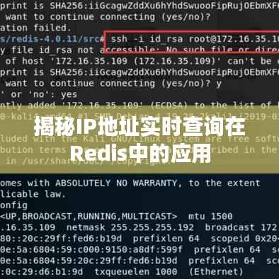 揭秘IP地址实时查询在Redis中的应用