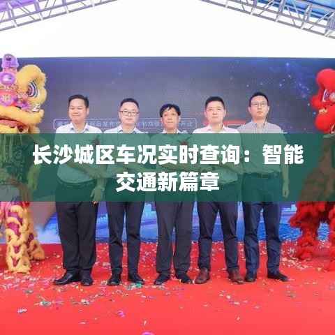 长沙城区车况实时查询：智能交通新篇章
