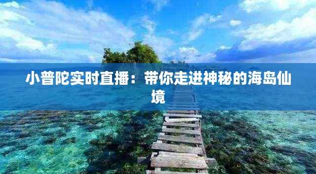 小普陀实时直播：带你走进神秘的海岛仙境