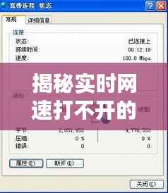 揭秘实时网速打不开的五大原因
