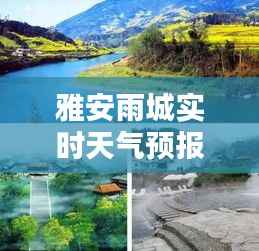 雅安雨城实时天气预报：细雨润物，诗意盎然