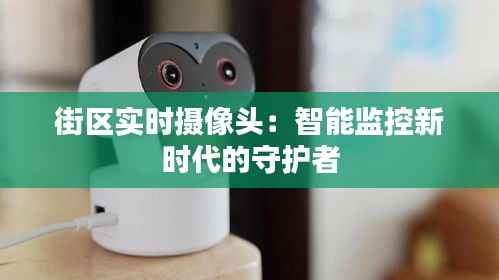 街区实时摄像头：智能监控新时代的守护者