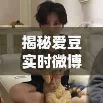 揭秘爱豆实时微博号：如何轻松追踪偶像动态