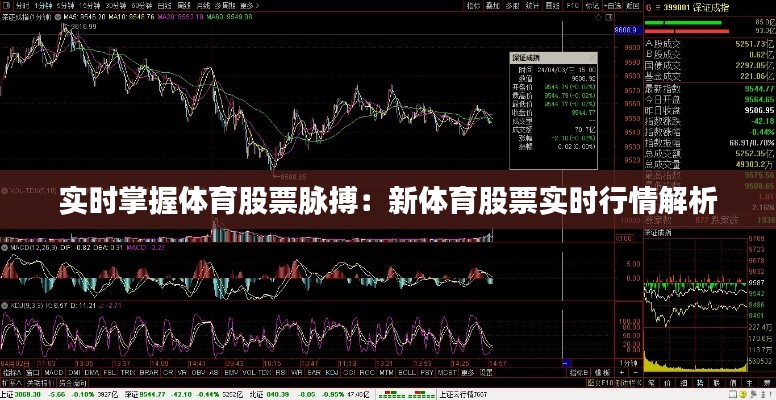 实时掌握体育股票脉搏：新体育股票实时行情解析