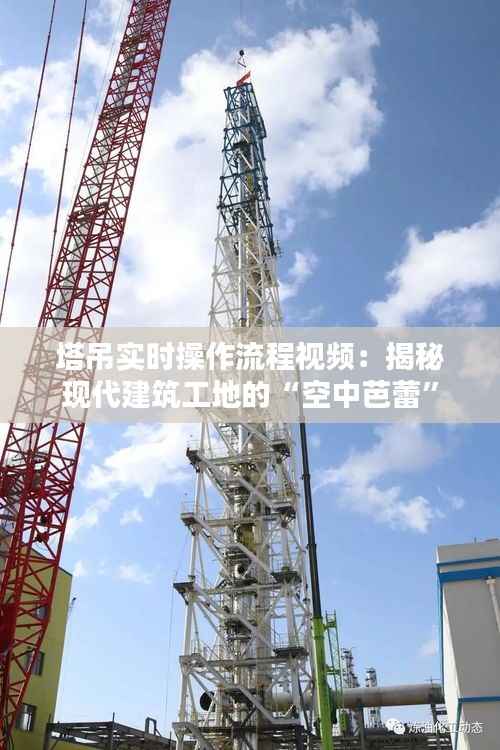 塔吊实时操作流程视频：揭秘现代建筑工地的“空中芭蕾”