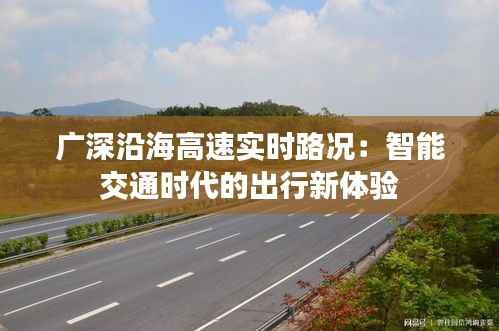 广深沿海高速实时路况：智能交通时代的出行新体验