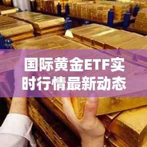国际黄金ETF实时行情最新动态解析