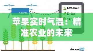 苹果实时气温：精准农业的未来